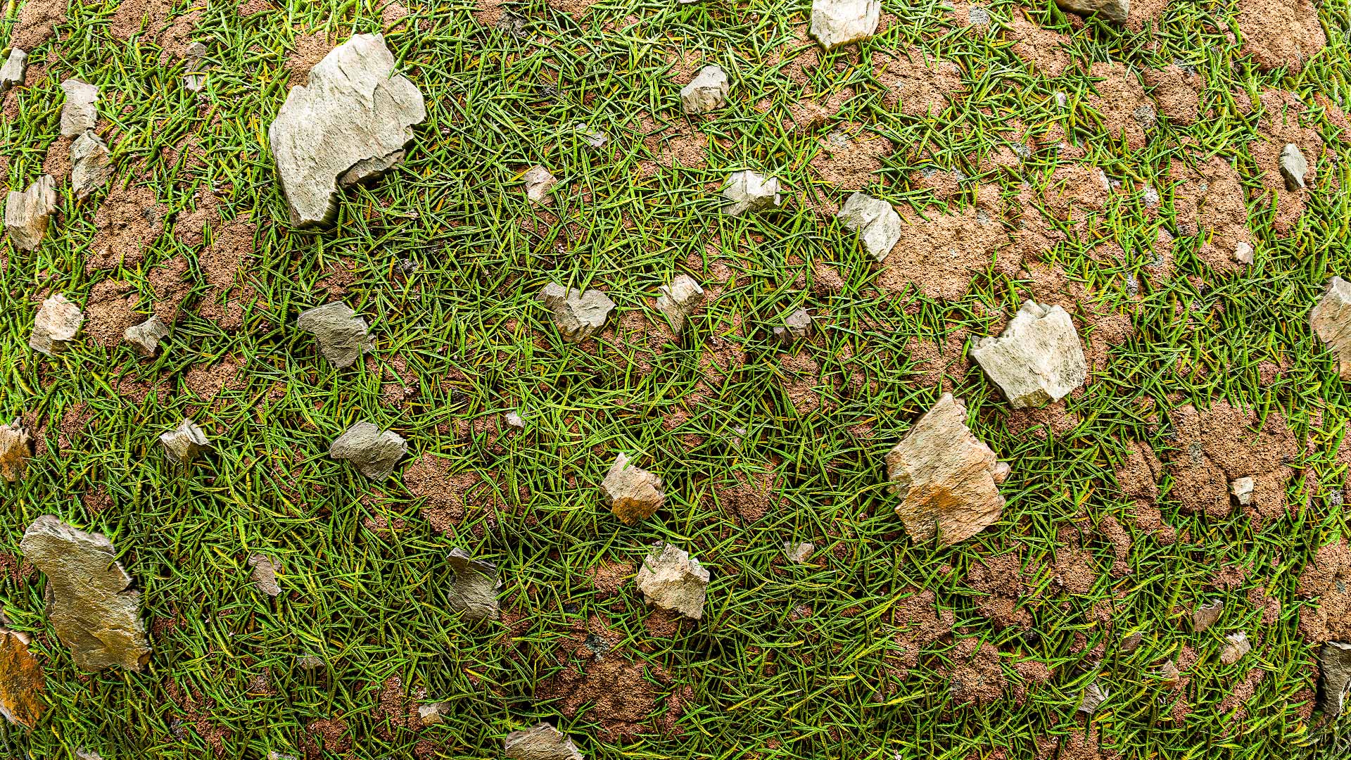 big-grass