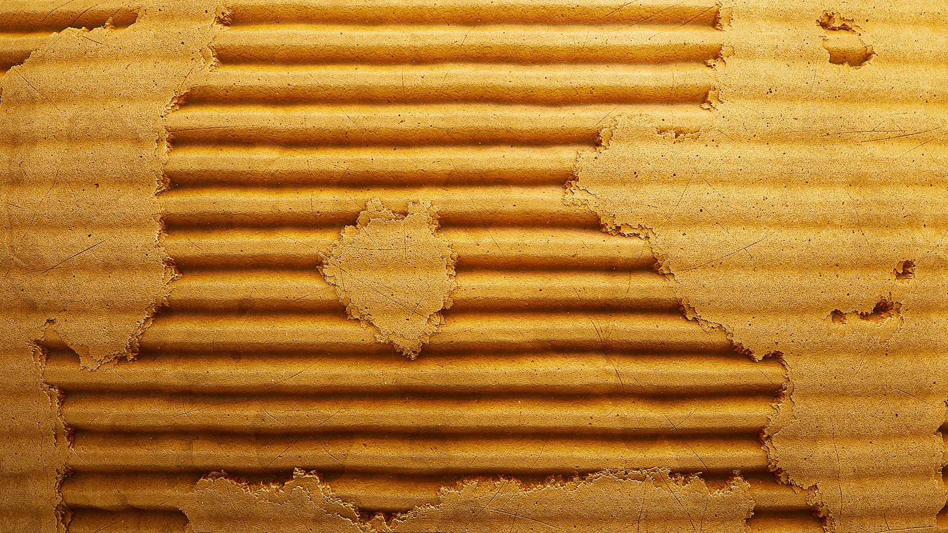details-paper-2